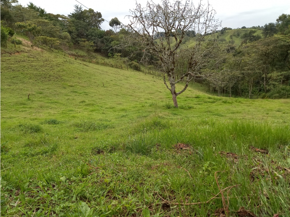 Venta Lote en EL Carmen De Viboral - Vereda Garzonas — foto 2