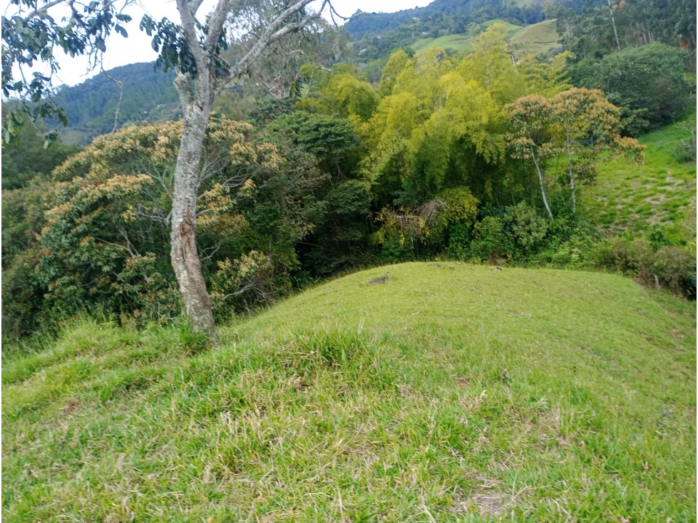 Venta Lote En Jerico - 5