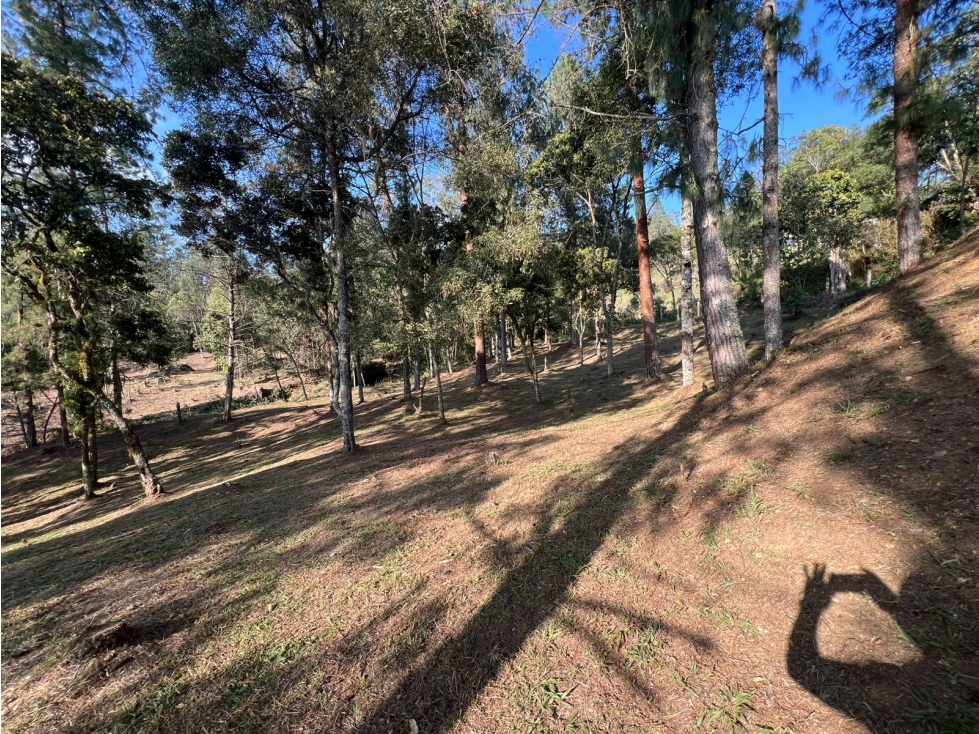 Venta Lote Guarne — foto 2