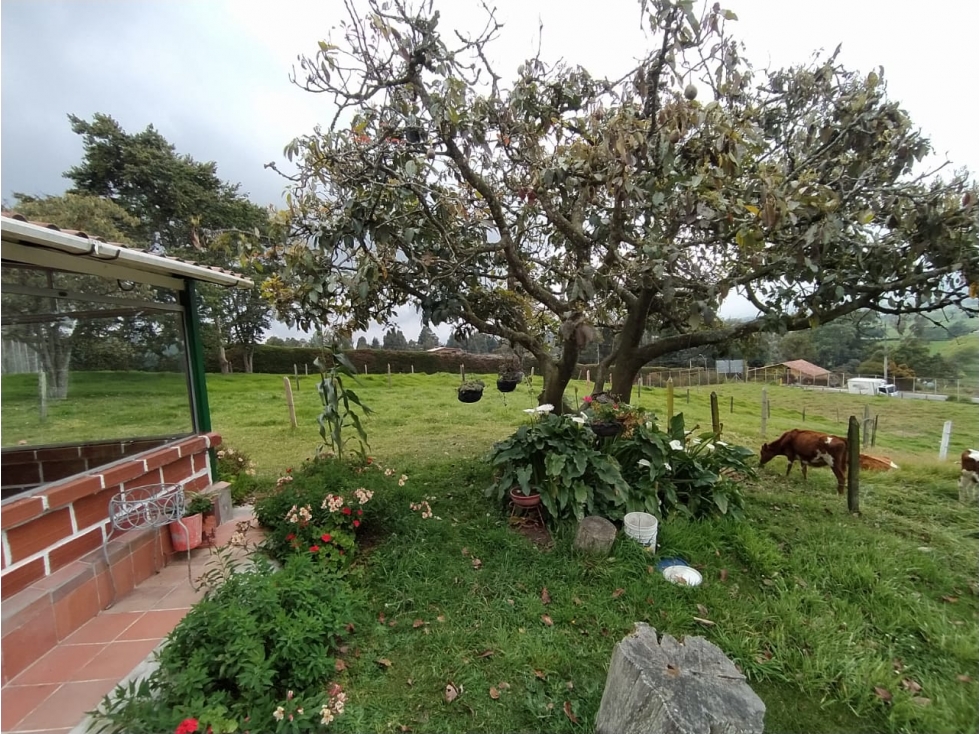 Venta Lote Con Casa Bello Via San Pedro