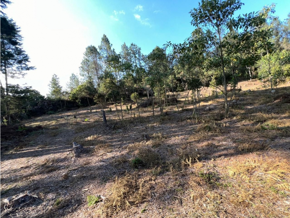 Venta Lote Guarne — foto 3