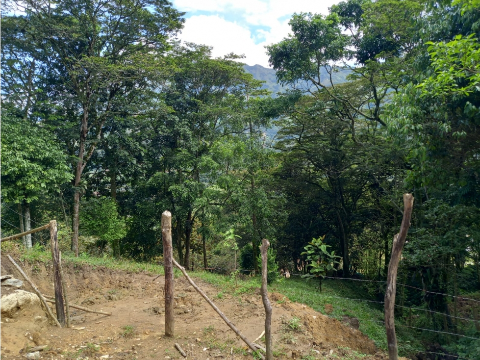 Venta Lote Hatillo Barbosa - 4
