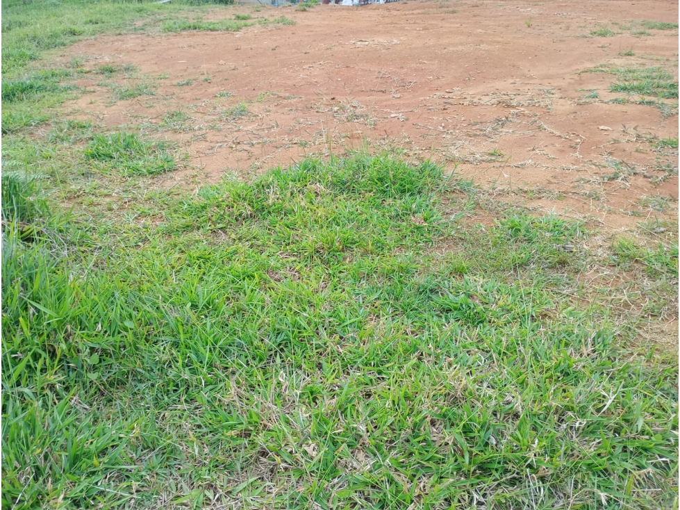 Venta Lote En Jerico - 3