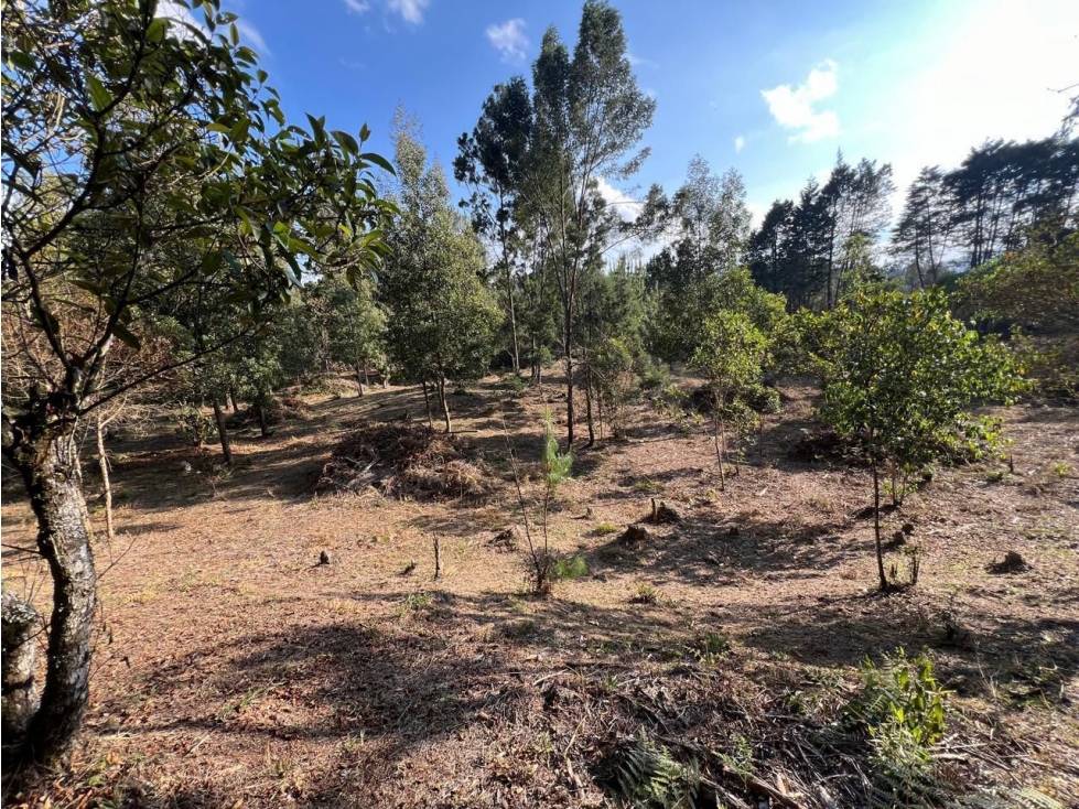 Venta Lote Guarne — foto 4