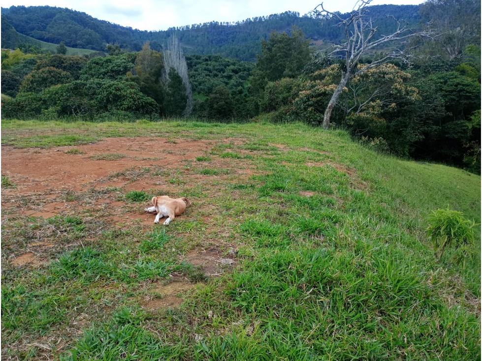 Venta Lote En Jerico - 6