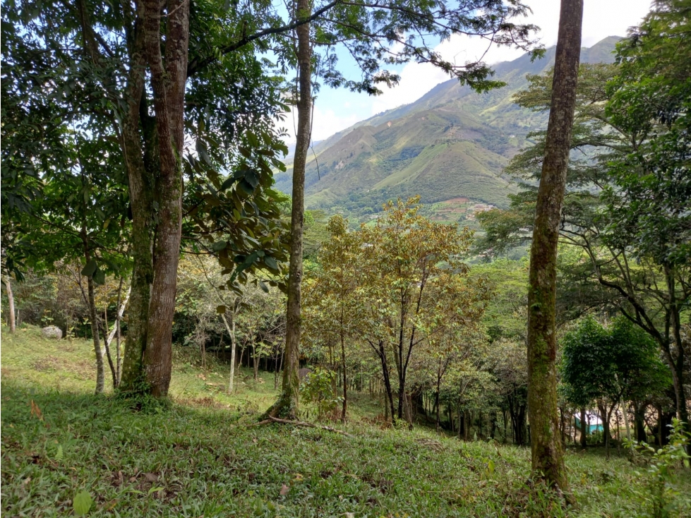 Venta Lote Hatillo Barbosa - 2