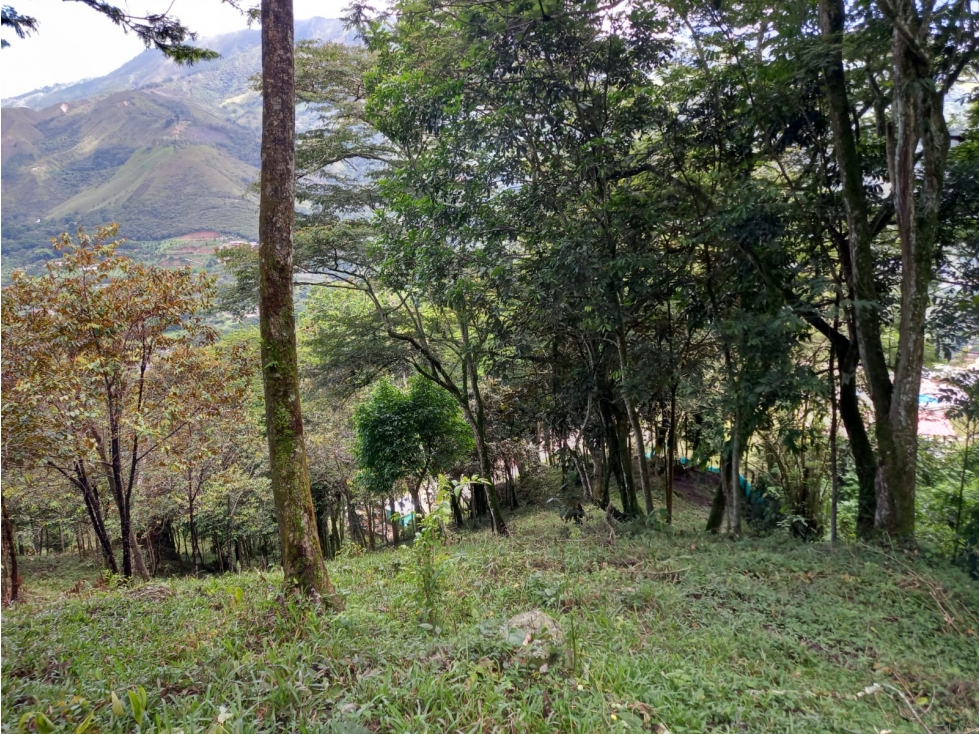 Venta Lote Hatillo Barbosa - 5