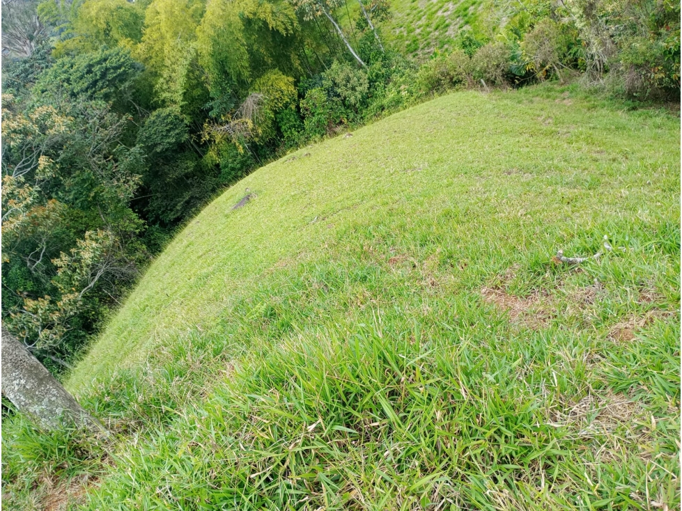 Venta Lote En Jerico - 4