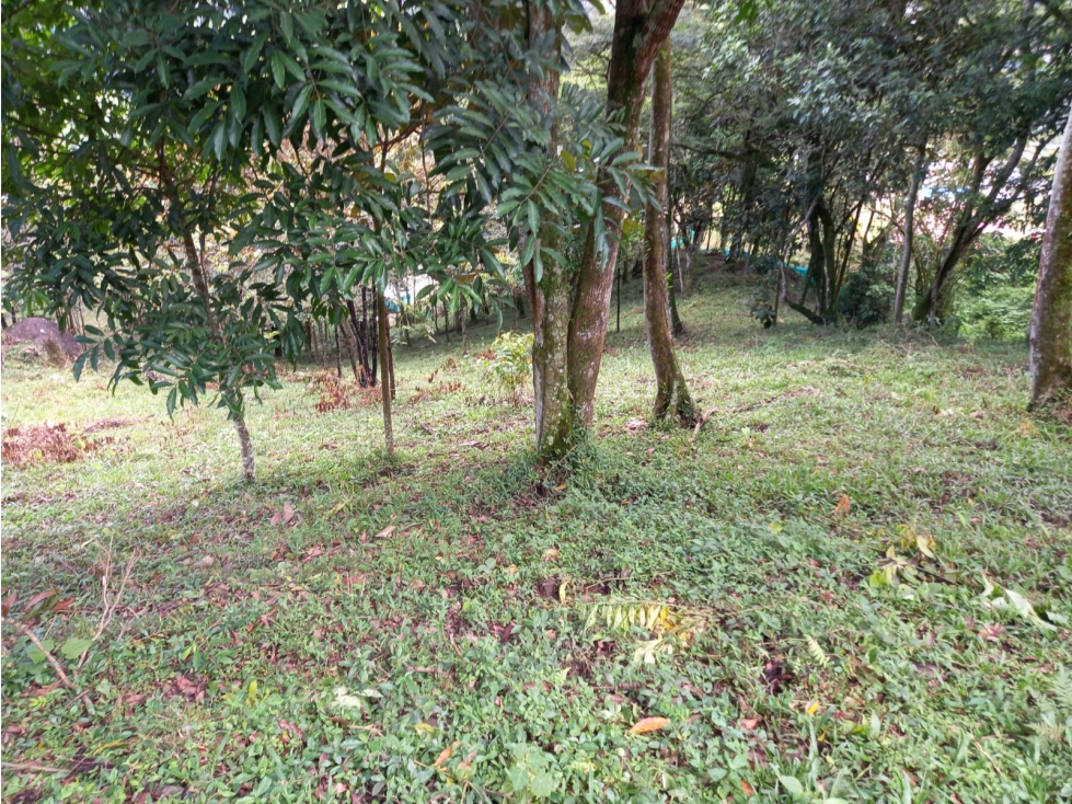 Venta Lote Hatillo Barbosa - 1