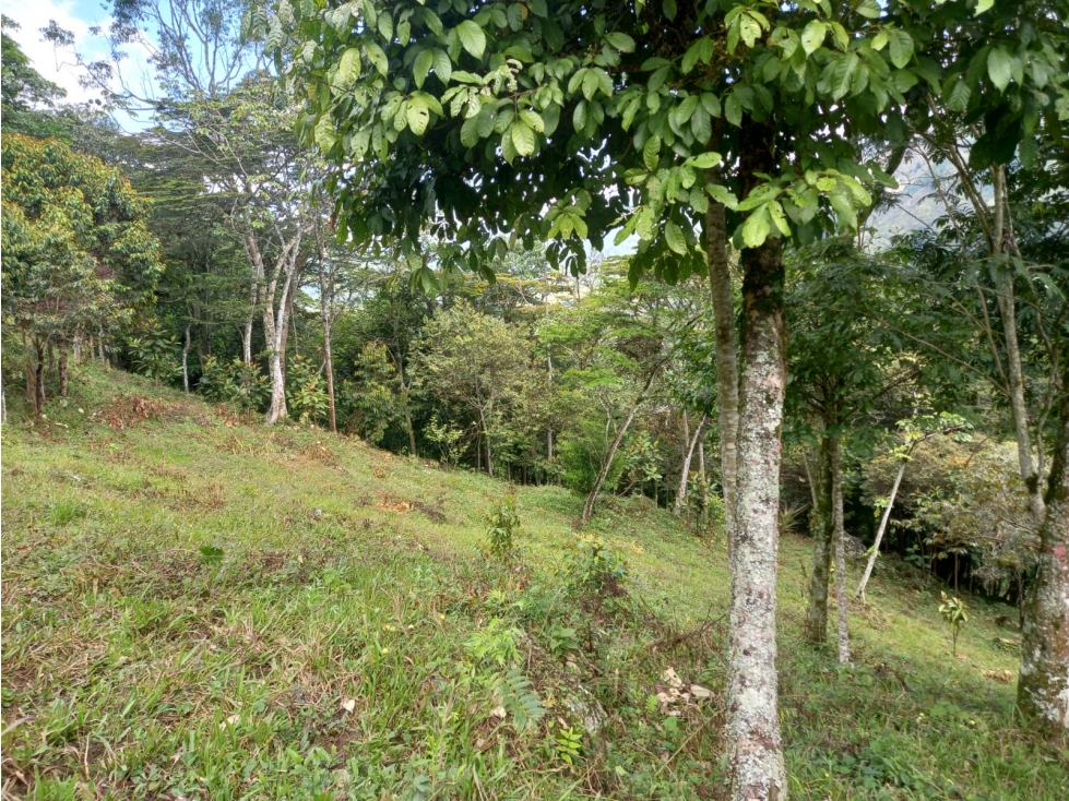 Venta Lote Hatillo Barbosa - 6