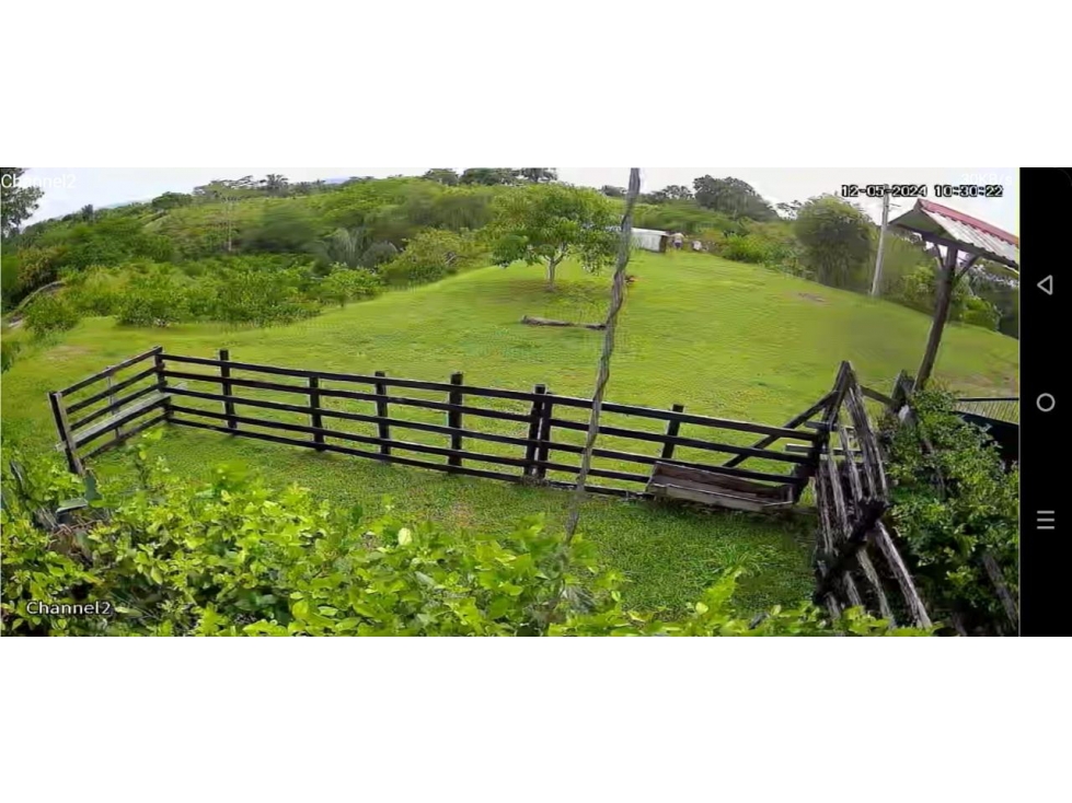 Vendo Finca en el Guamo 18 Hectareas - 5