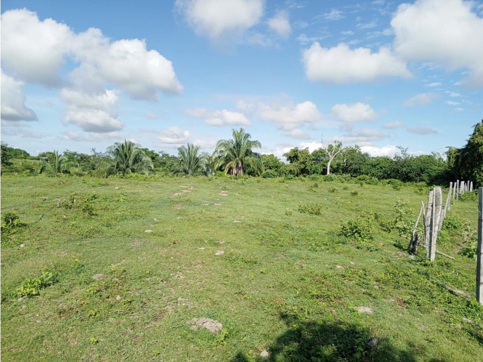 Vendo Finca en el Guamo 18 Hectareas - 4