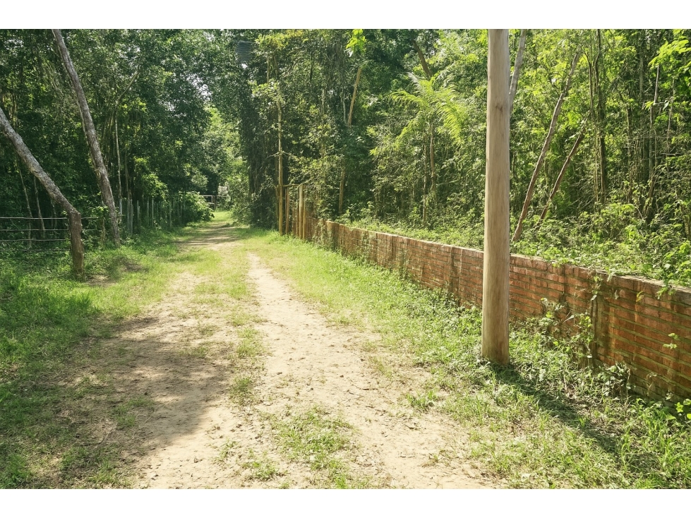 Lote en venta o Permuta Carmen de Apicala 672 m2 - 3