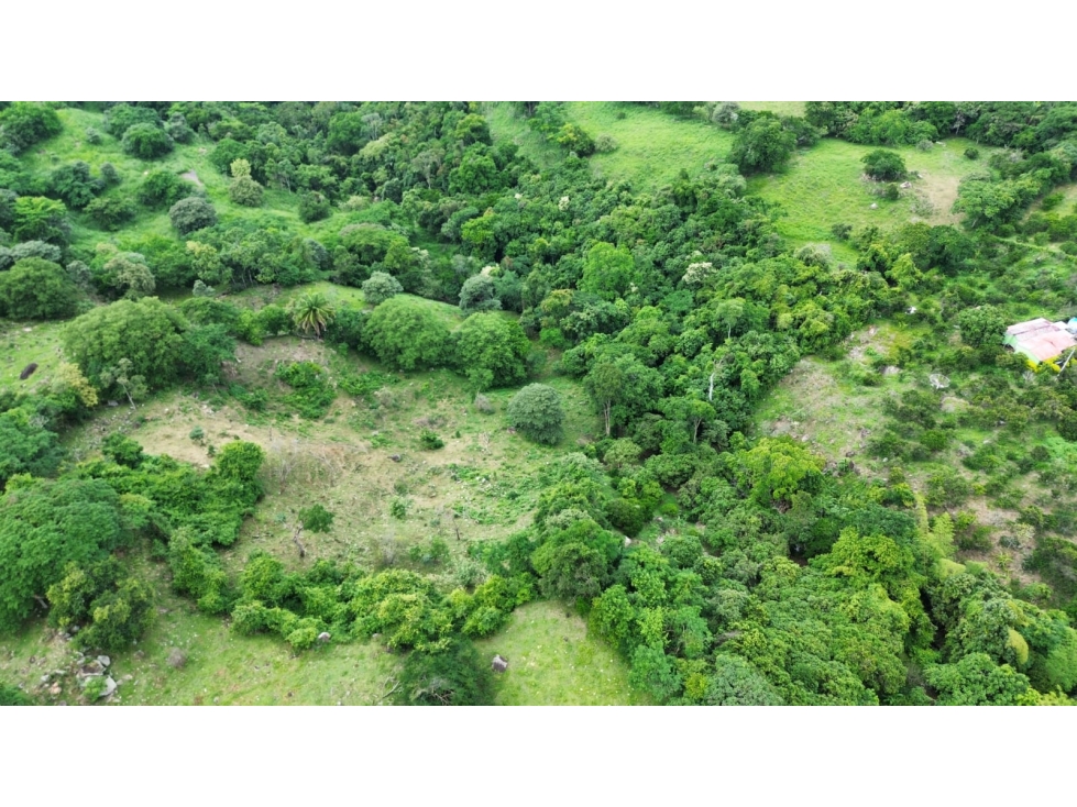 Venta lote en Mesitas 1000 M2 - 2