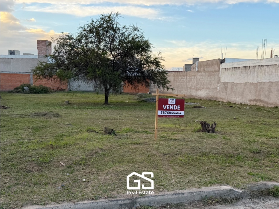 VENTA 2 TERRENOS JUNTOS | ESTACION ALVARADO - 6