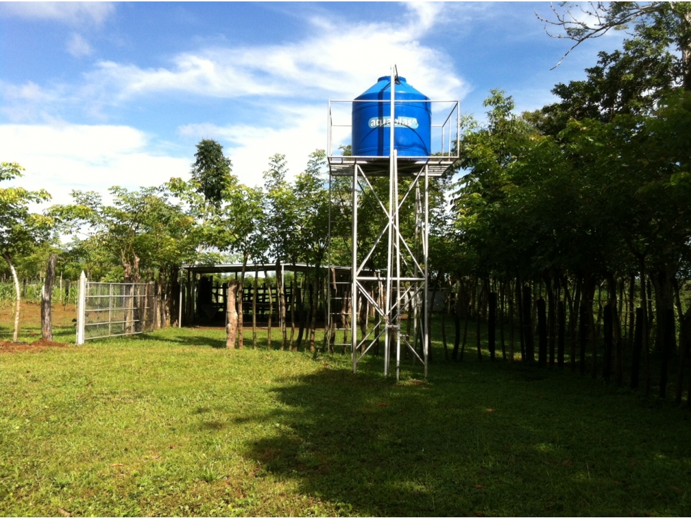 VENTA DE FINCA EN HERRERA, SECTOR OCU A ORILLA DE CARRETERA - 3
