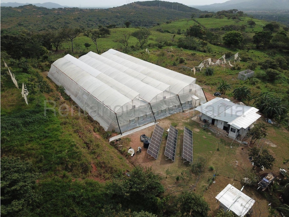VENDO FINCA EN CHAME