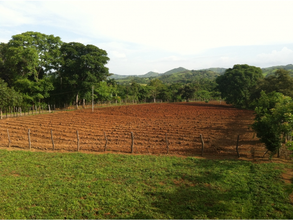 VENTA DE FINCA EN HERRERA, SECTOR OCU A ORILLA DE CARRETERA - 5