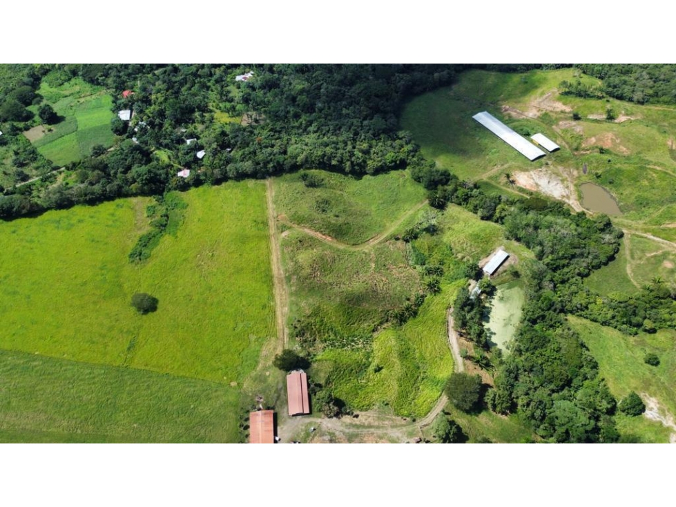 VENTA DE FINCA PRODUCTIVA DE ALTO NIVEL — foto 2