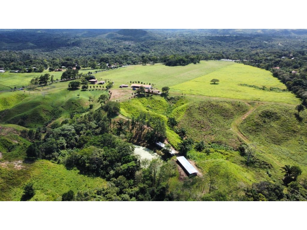 VENTA DE FINCA PRODUCTIVA DE ALTO NIVEL — foto 3