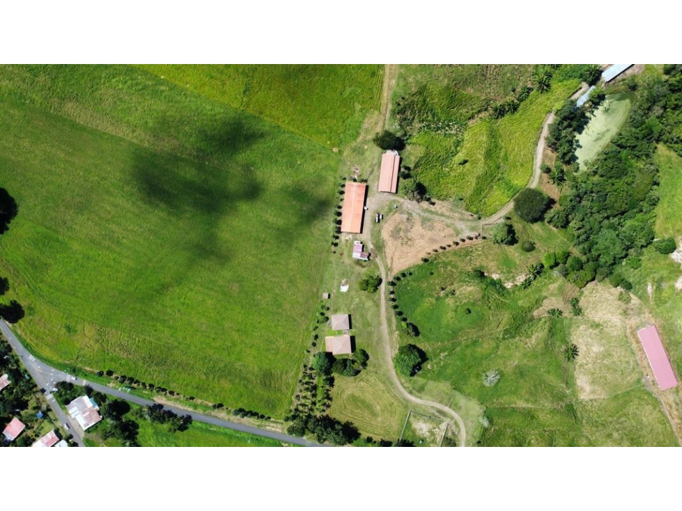 VENTA DE FINCA PRODUCTIVA DE ALTO NIVEL — foto 5