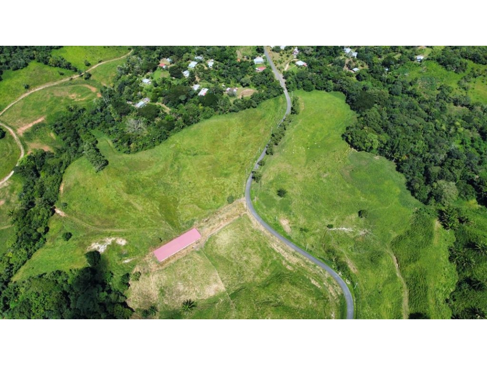 VENTA DE FINCA PRODUCTIVA DE ALTO NIVEL — foto 6