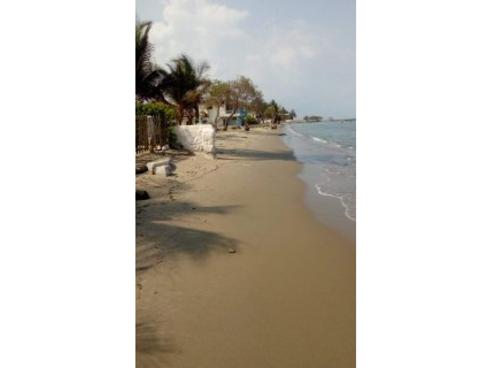 Lotes en venta | Tolú | cerca al mar - 1