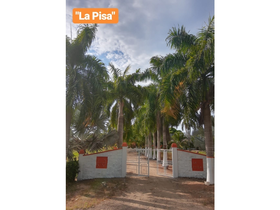 Lotes en venta | Tolú | cerca al mar - 6