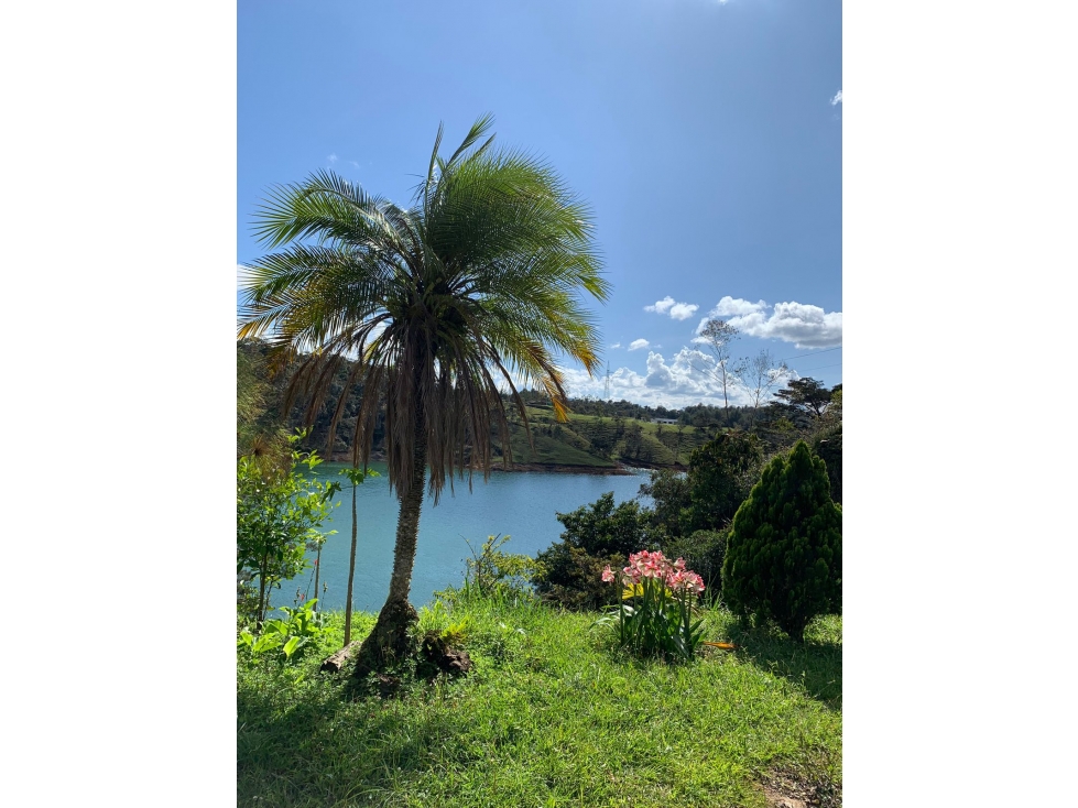 Finca en Guatape (Oriente Antioqueño) - 3