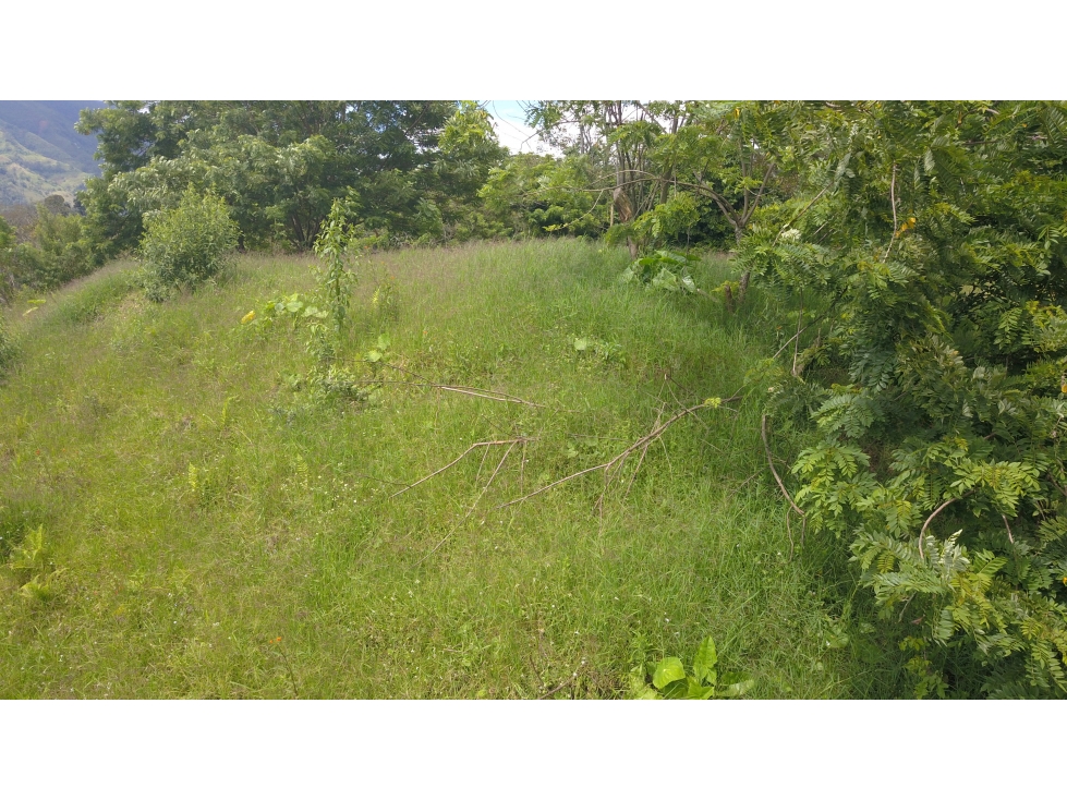 Lote en Amaga (Suroeste Antioqueño) - 5