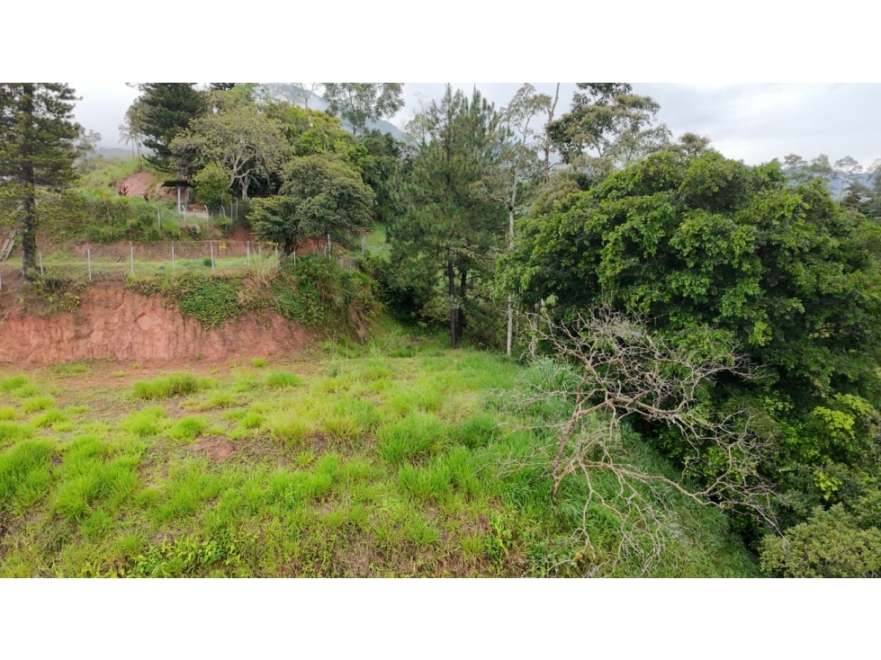 LOTE EN BARBOSA (ANTIOQUIA) — foto 6