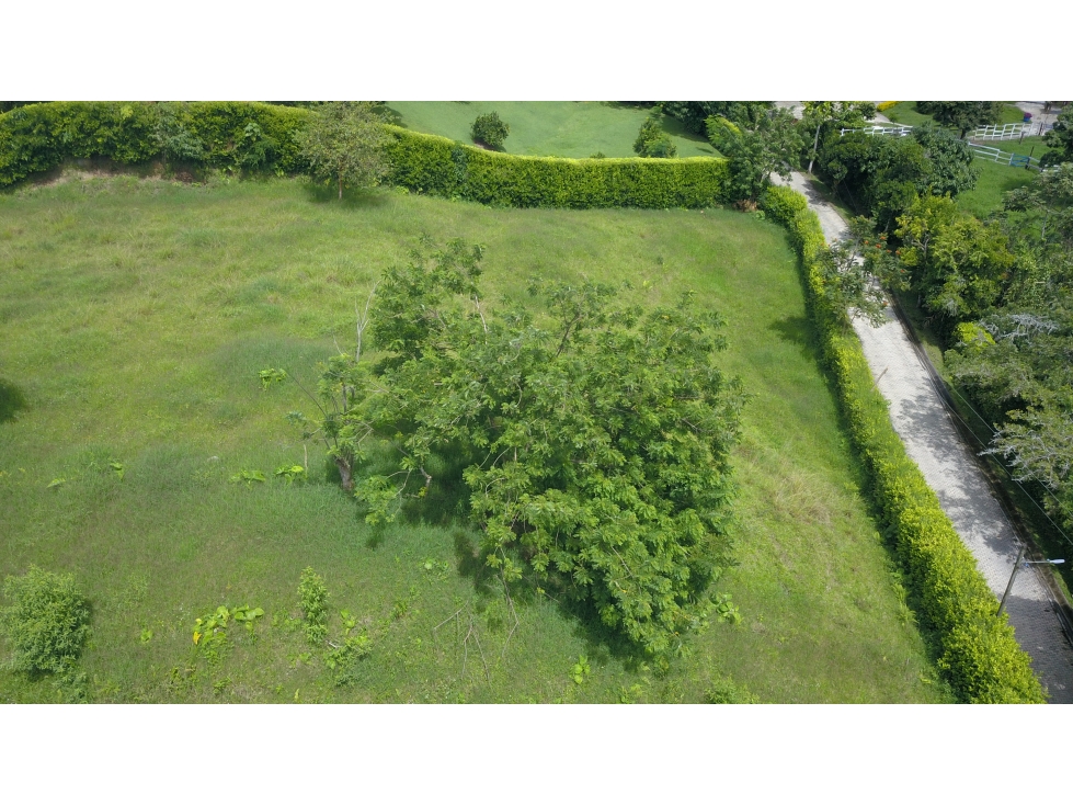 Lote en Amaga (Suroeste Antioqueño) - 3
