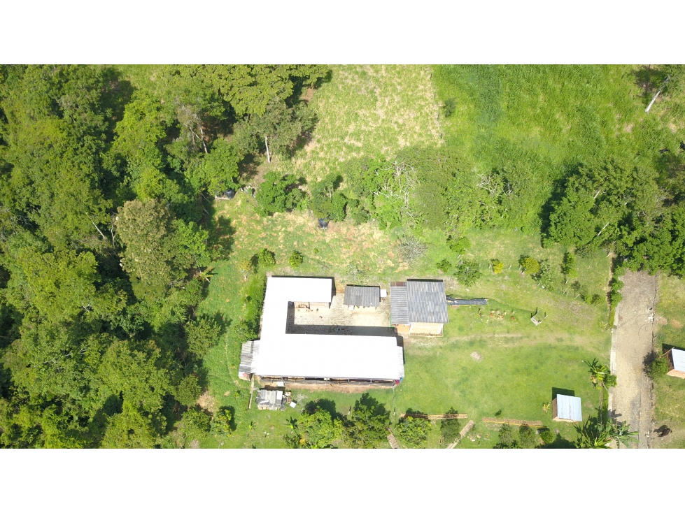 Lote en Amaga (Suroeste Antioqueño) - 2