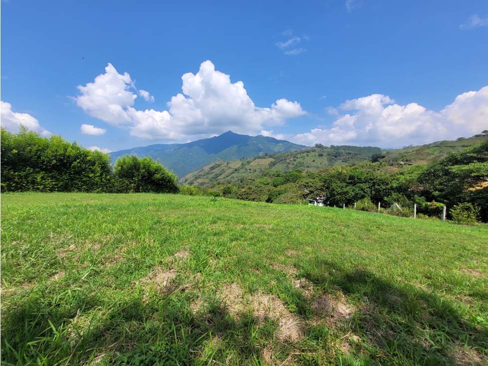 Lote en Venecia (suroeste antioqueño) - 3