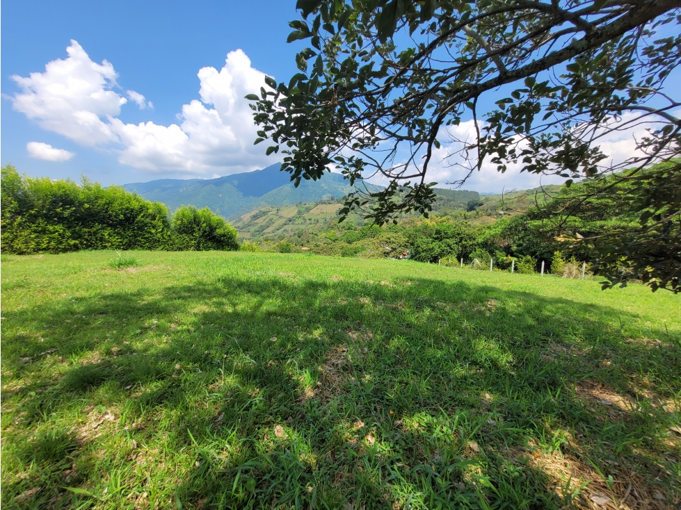 Lote en Venecia (suroeste antioqueño) - 5