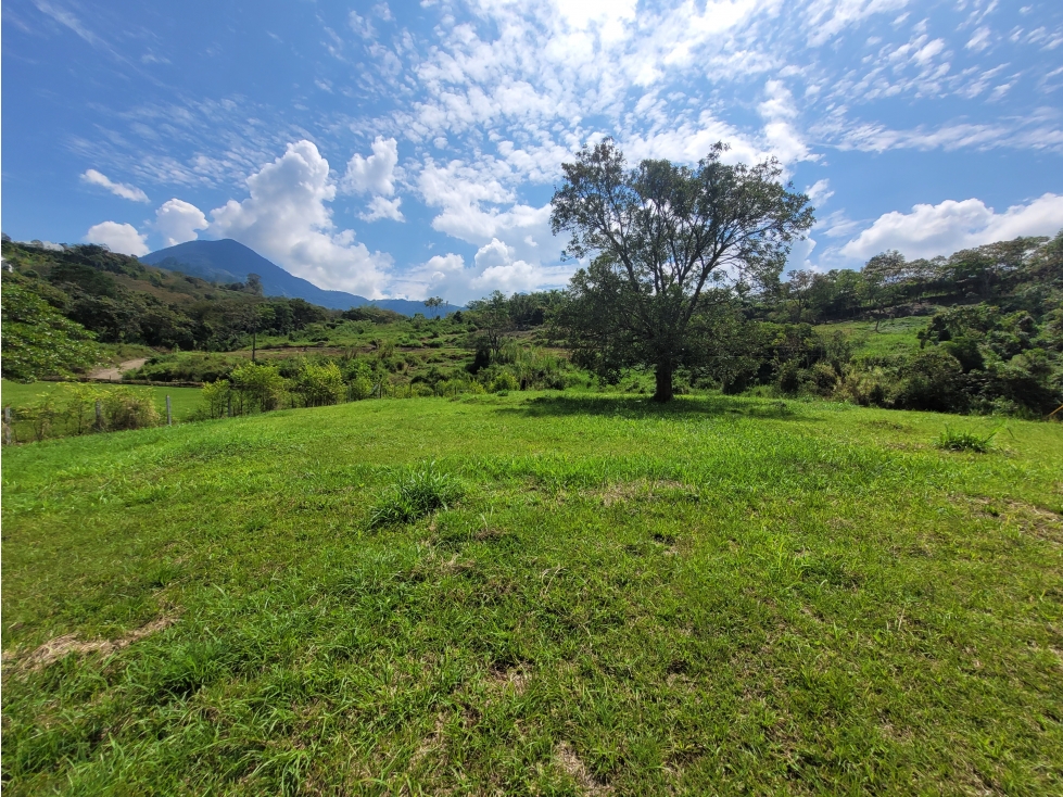 Lote en Venecia (suroeste antioqueño) - 6