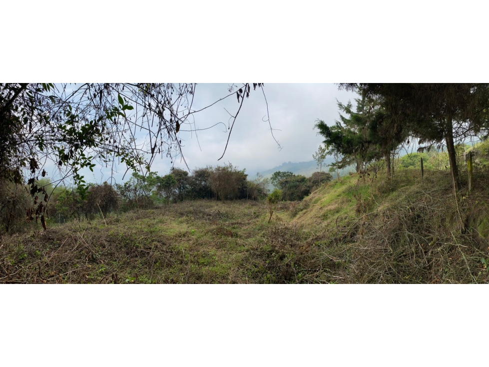LOTE COPACABANA - 6