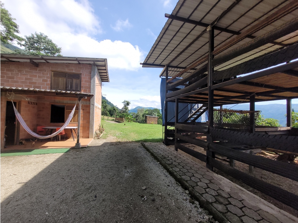 Lote en Amaga (Suroeste Antioqueño) - 4
