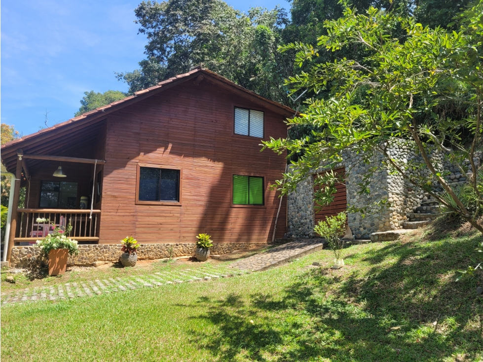 Finca en Damasco (Suroeste Antioqueño) - 3
