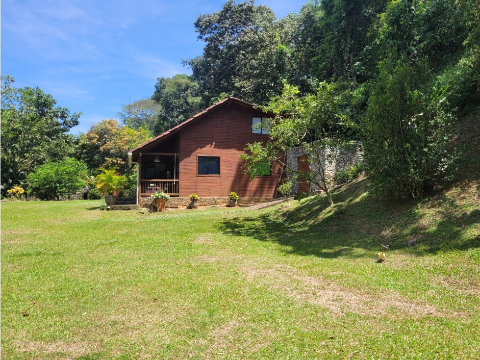 Finca en Damasco (Suroeste Antioqueño) - 4
