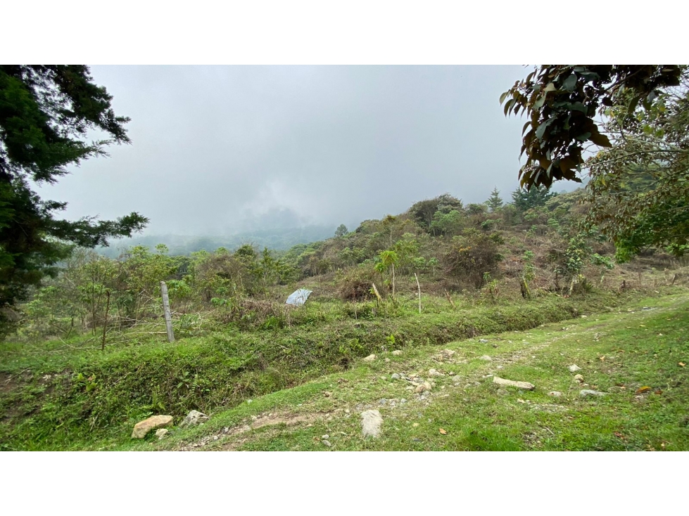 LOTE COPACABANA - 1