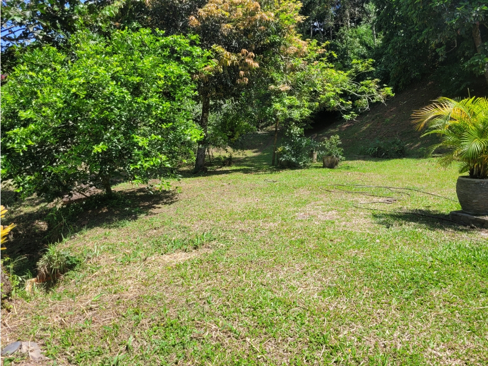Finca en Damasco (Suroeste Antioqueño) - 5