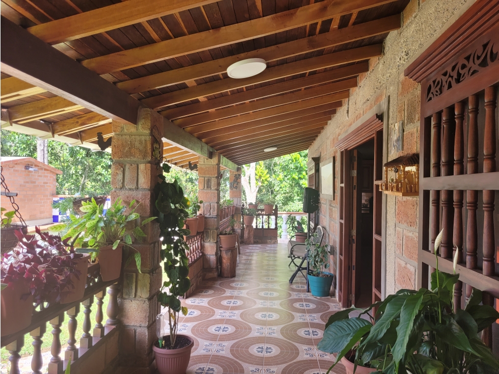 Finca en Damasco (Suroeste Antioqueño) - 5