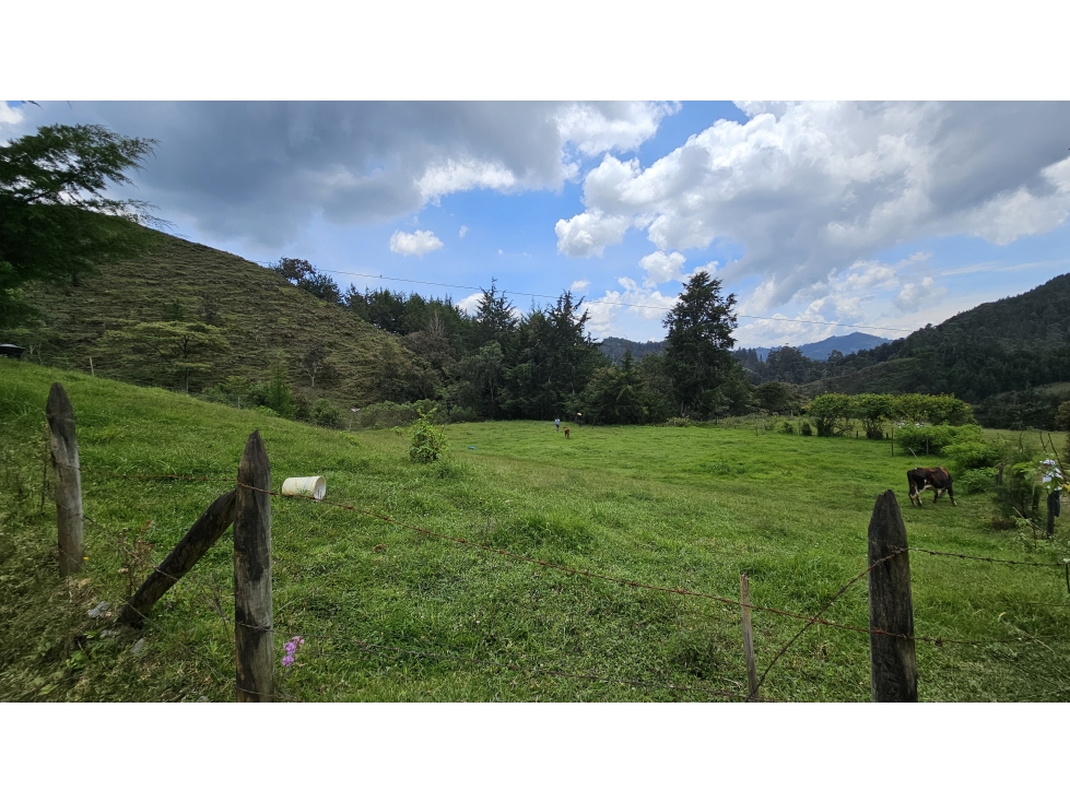 Título: Lote en Venta El Retiro, 100% plano, Vereda Puente Peláez — foto 5