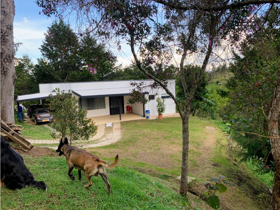 Venta casa campestre en Rionegro con 2 aptos en el mismo lote — foto 3
