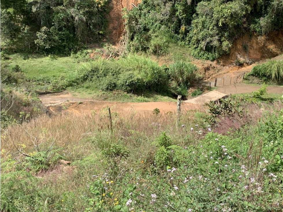 Venta de lote en San Vicente, Antioquia Con dos explanaciones |#12 — foto 2