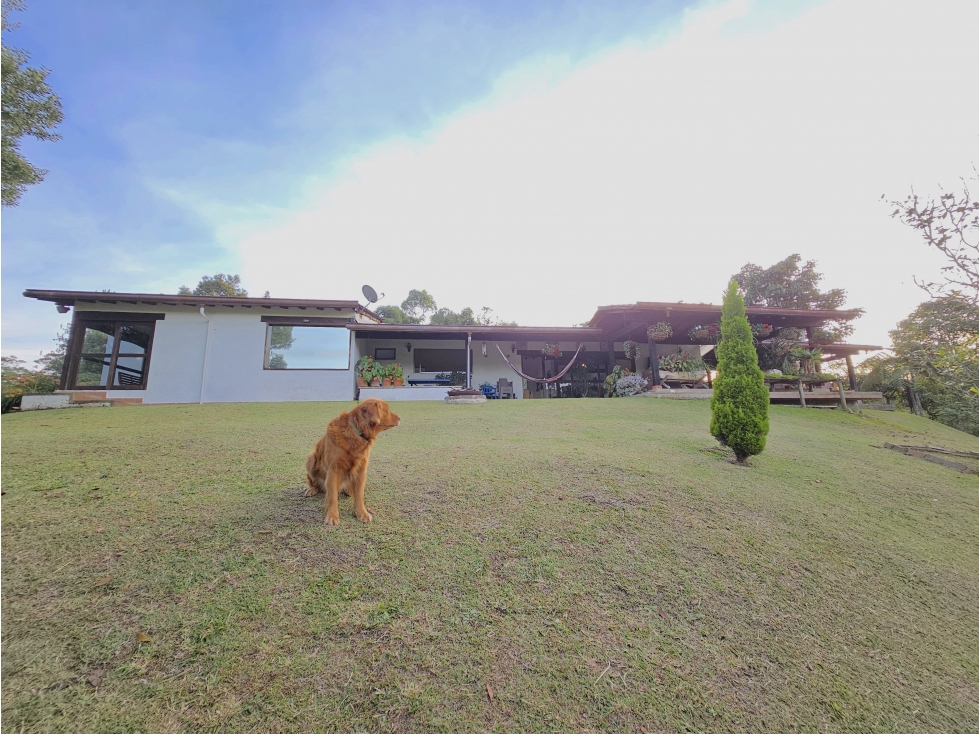 Finca en Venta en El Retiro | Casa de un nivel de 350 m2 — foto 6