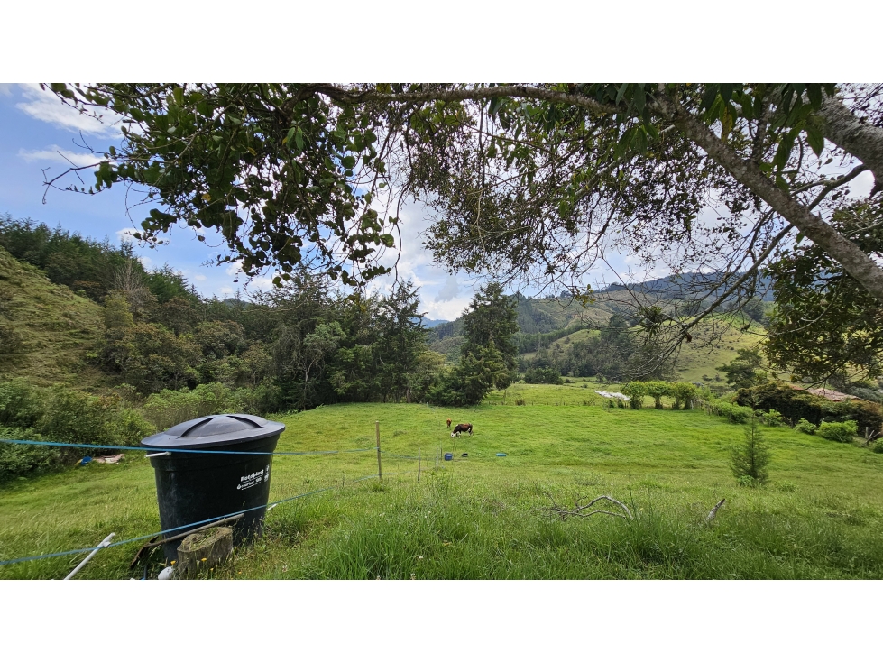 Título: Lote en Venta El Retiro, 100% plano, Vereda Puente Peláez — foto 4