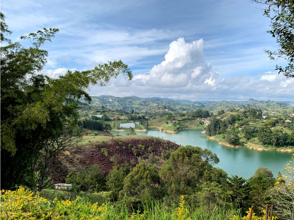 Venta de Finca/Hostal en el Peñol, con súper vista a la Represa - 5