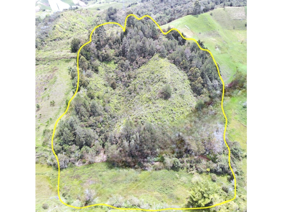 Venta lote en Marinilla, con bosque ideal para ecoturismo y cabañas — foto 2